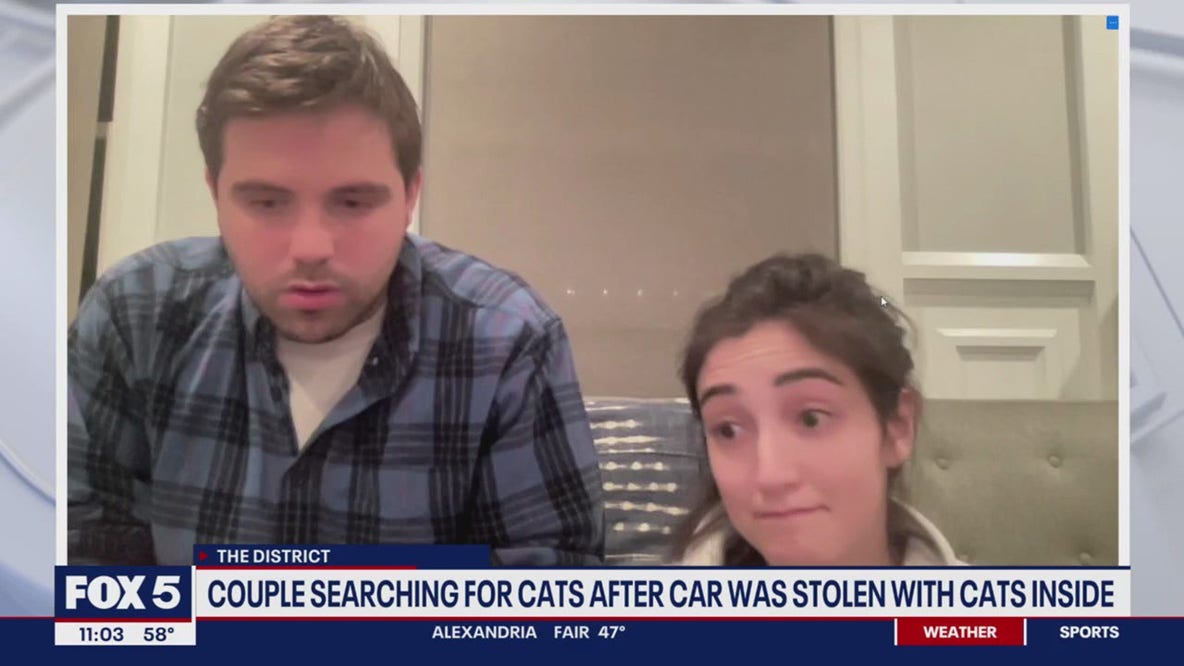 Virginia couple searching for cats after car stolen with pets inside